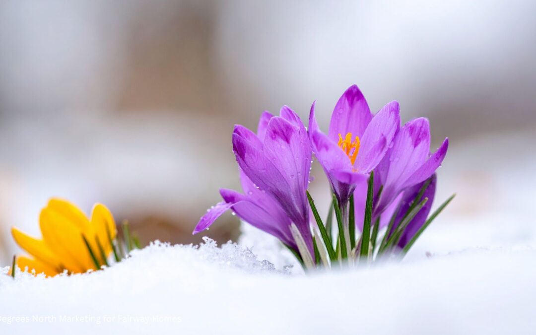 Spring Awakening in Sandpoint, Idaho: March & April Bring Renewal and Events